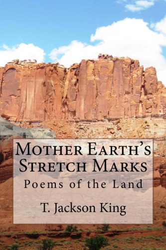 PoetryBookCoverImage[1]